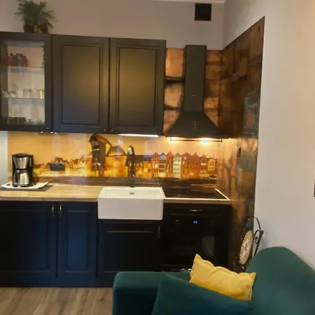 Apartament Zielony Lub Bursztynowy Z Parkingiem Stare Miasto Gdansk Exterior photo
